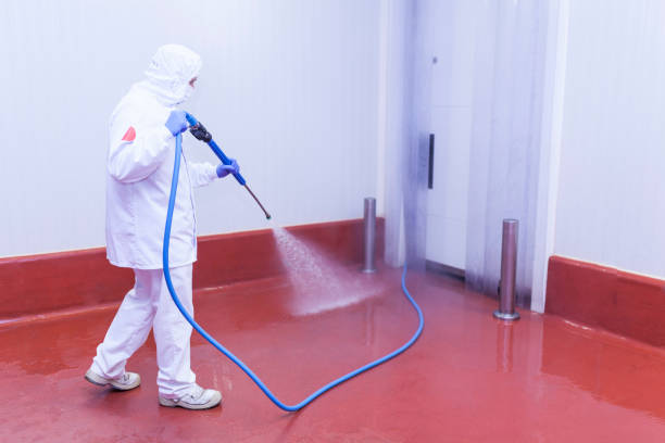 Best Solar Panel Cleaning  in Woodville, CA
